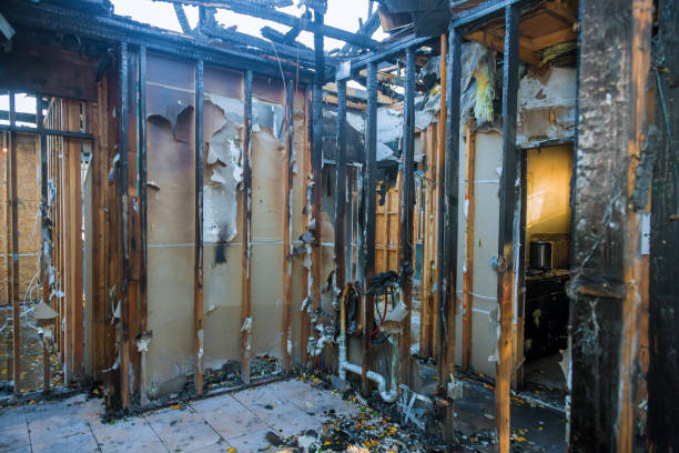 Professional Smoke Damage Removal technician working in Fairfield Harbour, NC